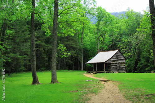 old cabin in the forest of smokey mountain national park