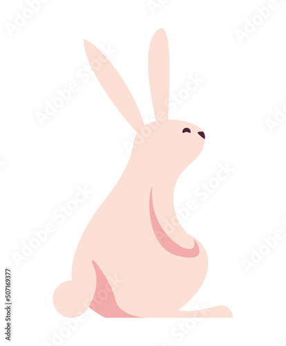 cute pink rabbit seated