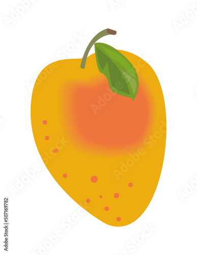fresh mango fruit
