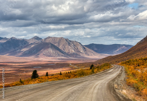 Yukon wilderness in Orange and Purple Foiliage photo
