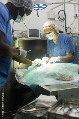 Surgery for a dog in a veterinary clinic. High quality photo