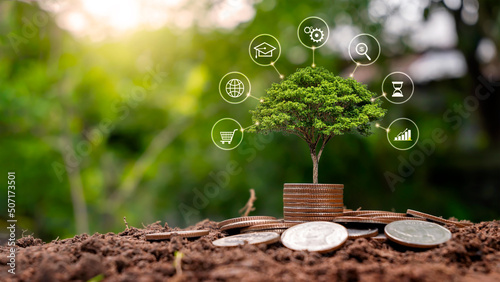A tree growing on a pile of coins and a green background is a concept of financial system development and economic growth. photo