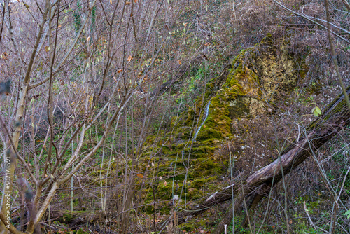 Natural spring with mineral drinking water in the wild with stones overgrown with moss. Background or backdrop photo