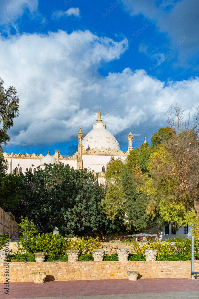 Fototapeta premium カルタゴ遺跡