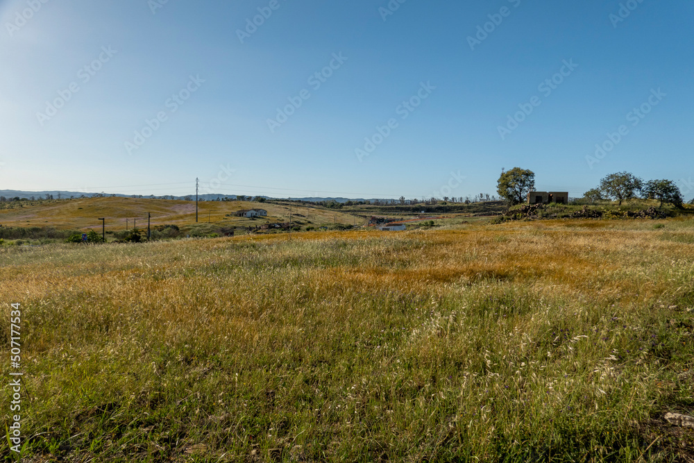 Beautiful landscape meadow on the Algarve region