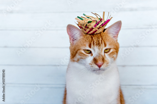 Beautiful yellow cat with straw hat at a June party.