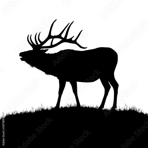 A vector silhouette of a large male bull elk bugling.

