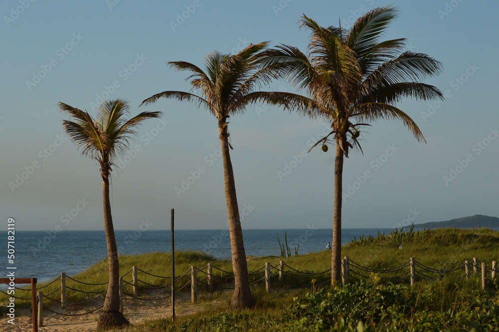 Tropical scenery