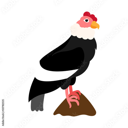 Isolated andean condor Bird icon Vector illustration