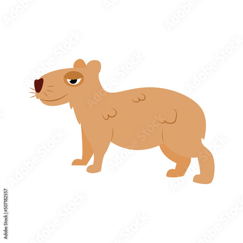 Isolated capybara cartoon Animal icon Vector illustration