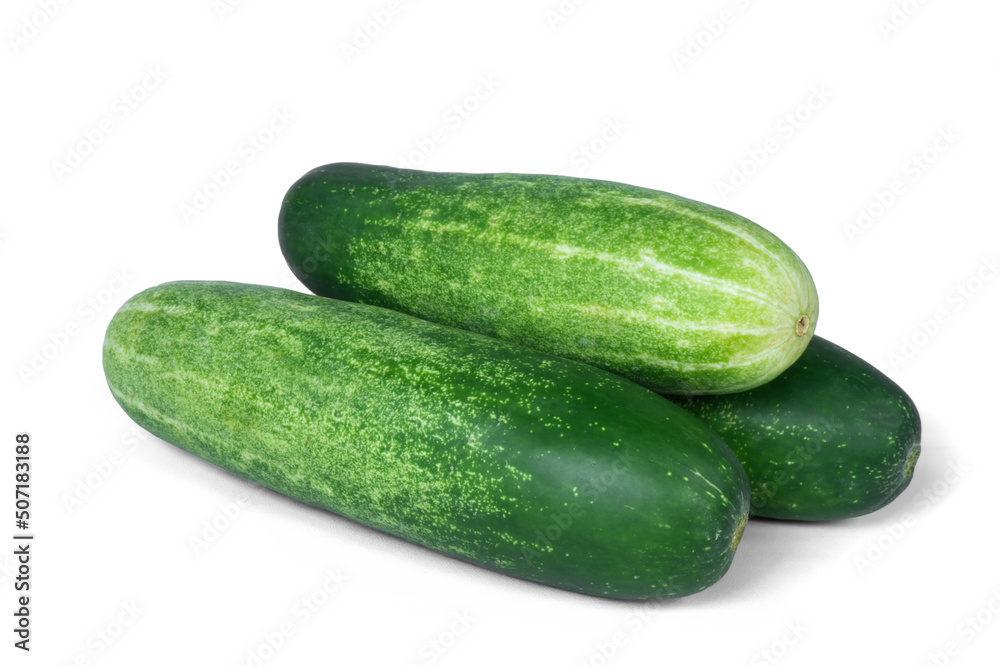Cucumber isolated. Cucumber on white. Full depth of field. With clipping path Cucumber isolated. Cucumber on white. Full depth of field. With clipping path