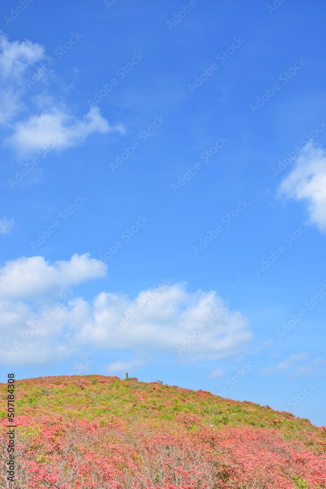 Naklejka premium 爽やか 岩手県室根山 山頂 