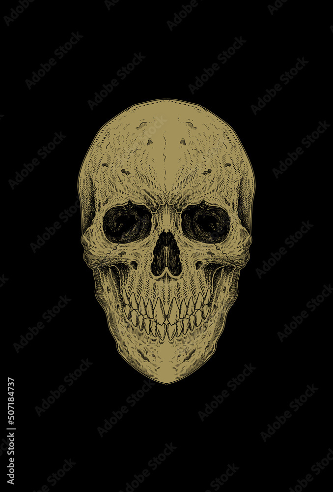 Head skull detail artwork illustration