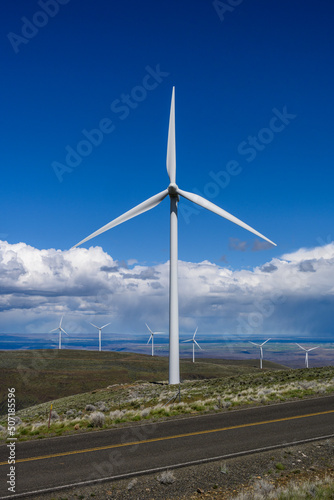 Wallpaper Mural Wind turbines in the shrub-steppe habitat of Central Washington, utility scale, renewable green power generation
 Torontodigital.ca