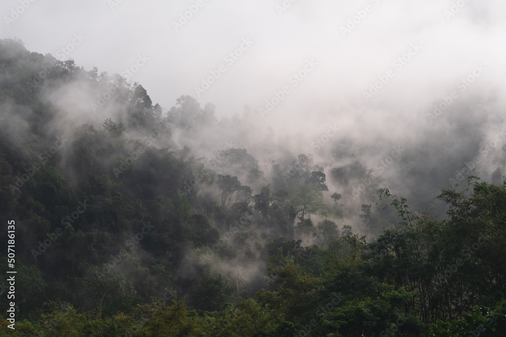 Landscape image of greenery rainforest mountains and hills on foggy day