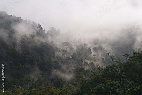 Landscape image of greenery rainforest mountains and hills on foggy day