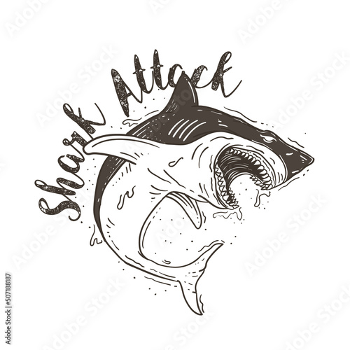 shark attack illustration background template
