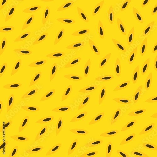 Ripe passion fruit background with seeds. Vector illustration.