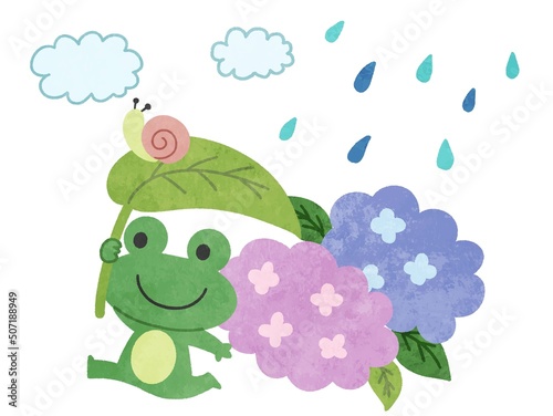 梅雨・雨の日の紫陽花とカエルのイラスト素材