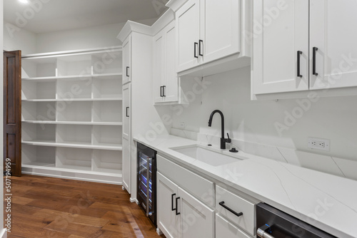 Large empty white walk in pantry with bar and sink