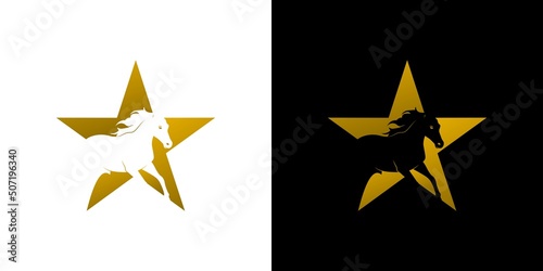 Elegant and attractive horse star logo design 1