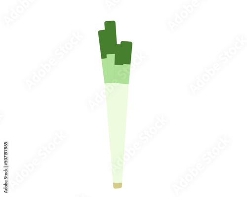 Wallpaper Mural ネギ 白ネギ アイコン ベクターイラスト Torontodigital.ca