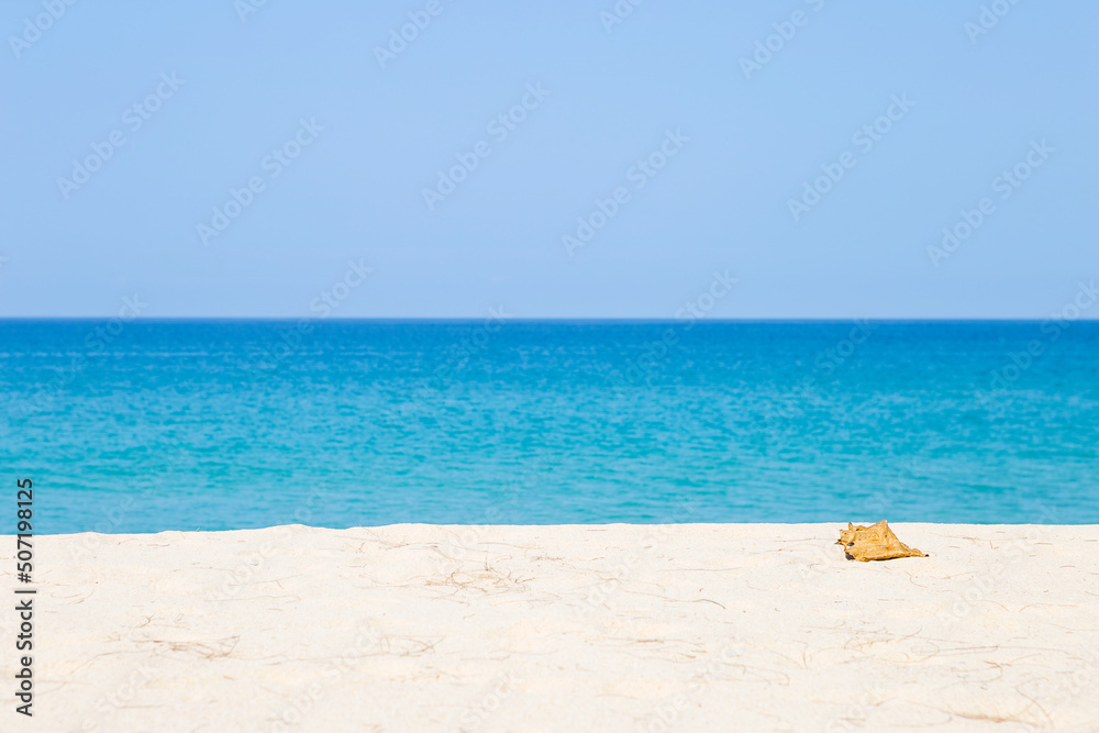 Dry leaf on white sandy beach over blue sea background, outdoor day light, tropical island