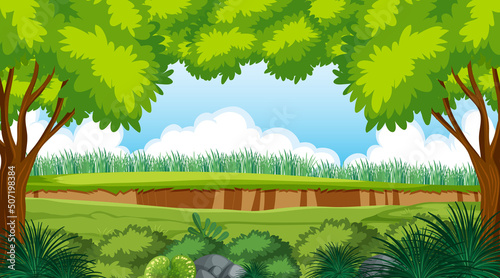 Empty forest environment background