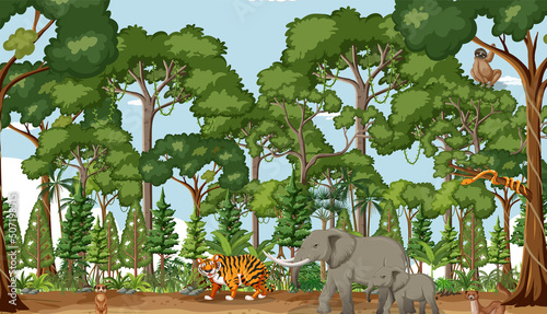 Forest scene with wild animals