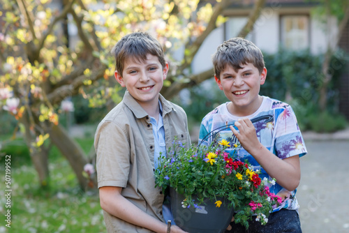 Two school kids boys with spring flowers in pot for mum as gift for mothers day. Happy children, two son with surprise for mama. © Irina Schmidt