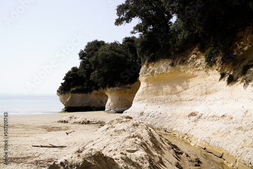 cliff coasts in gironde river in Meschers-sur-Gironde france