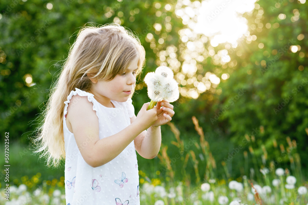 Adorable cute little preschool girl blowing on a dandelion flower on the nature in the summer. Happy healthy beautiful toddler child with blowball, having fun. Bright sunset light, active kid.
