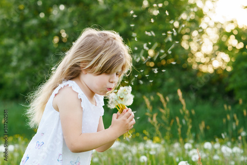 Adorable cute little preschool girl blowing on a dandelion flower on the nature in the summer. Happy healthy beautiful toddler child with blowball, having fun. Bright sunset light, active kid.