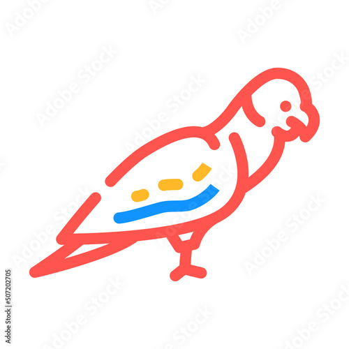 parrot bird color icon vector. parrot bird sign. isolated symbol illustration