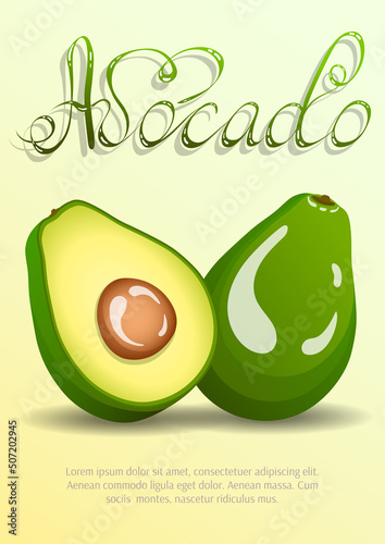 Avocado. Whole avocado and avocado in cut. Fruits, healthy eating, dieting concept. А4 vector illustration.
