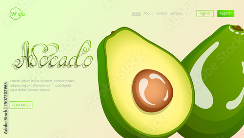 Avocado. Whole avocado and avocado in cut. Fruits, healthy eating, dieting concept. Vector illustration for flyer, banner, website development.