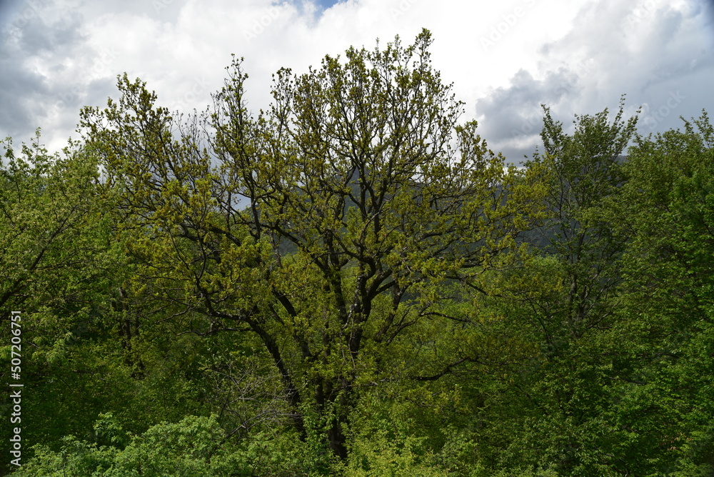 Landscape of Georgia