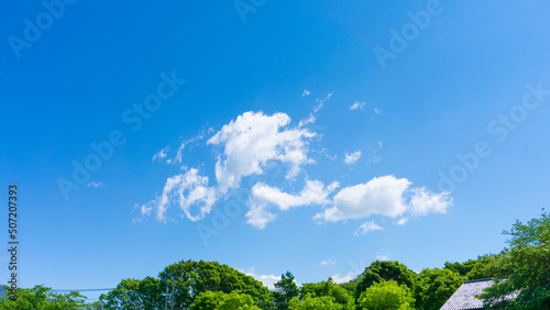 夏の青空と新緑の風景