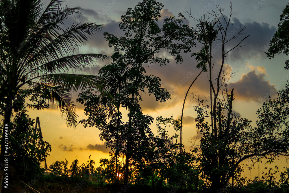 Obraz premium Wallpaper blurred nature of the twilight light in the evening by the large water basin surrounded by big trees, the integrity of the forest