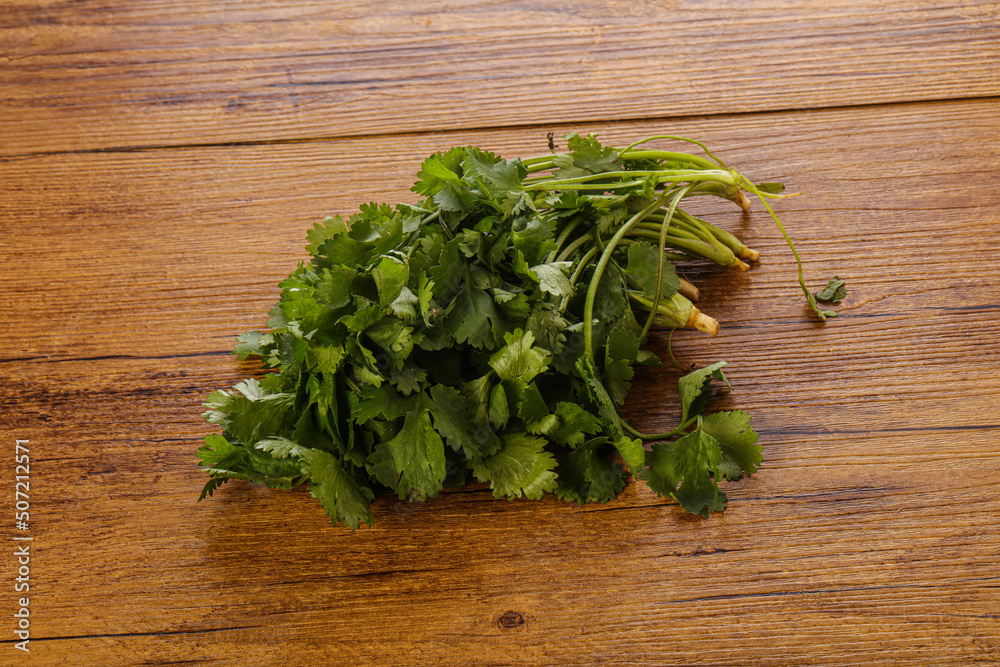 Fresh green Coriander leaves heap Fresh green Coriander leaves heap