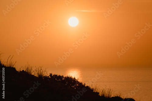 Morning sunrise at the Bay and Coast at Cape Greco National Park near Ayia Napa, Cyprus. The sun through the silhouettes of flowers and grass © Alexey Oblov