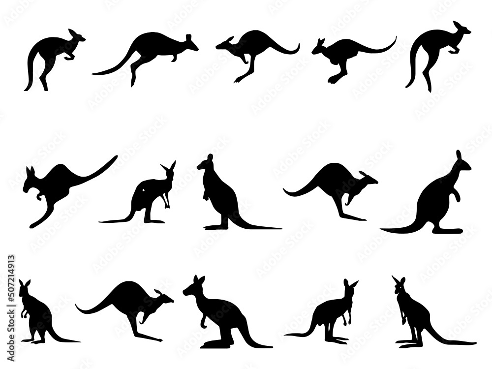 Kangaroo vectors free download. Kangaroo Vector Images. Australia symbol kangaroo Royalty Free Vector Image. Kangaroo Image