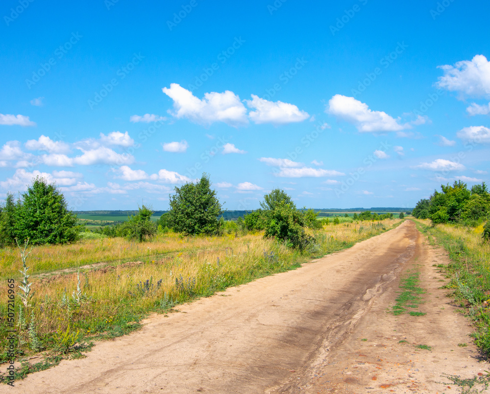 Fototapeta premium Gravel road going through field.