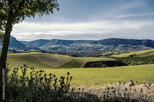 Plakat millau aveyron viaduc tarn