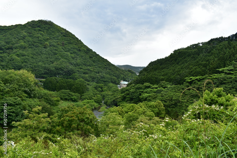 Obraz premium 新緑の風景