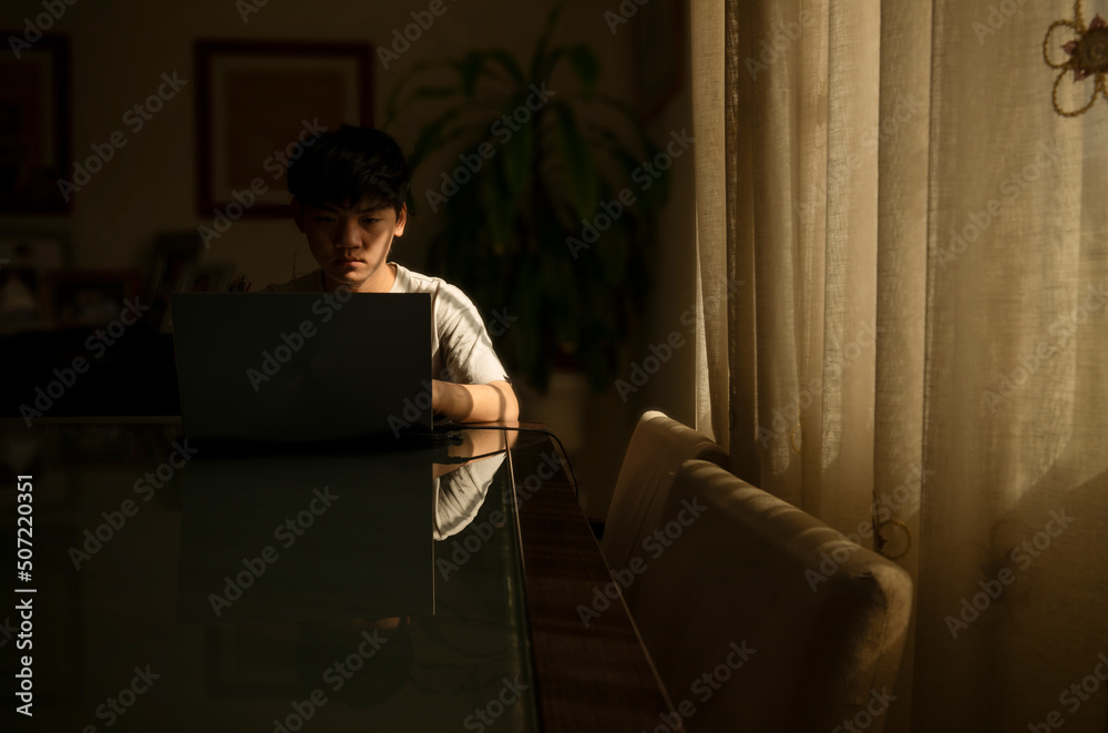 Fototapeta premium Portrait of teenage Asian boy using laptop indoor with sunlight and shadow