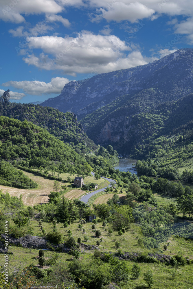 Obraz premium gorges du tarn, tarn, aveyron