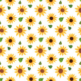 Seamless Pattern with Hand Drawn Sunfower Design on White Background