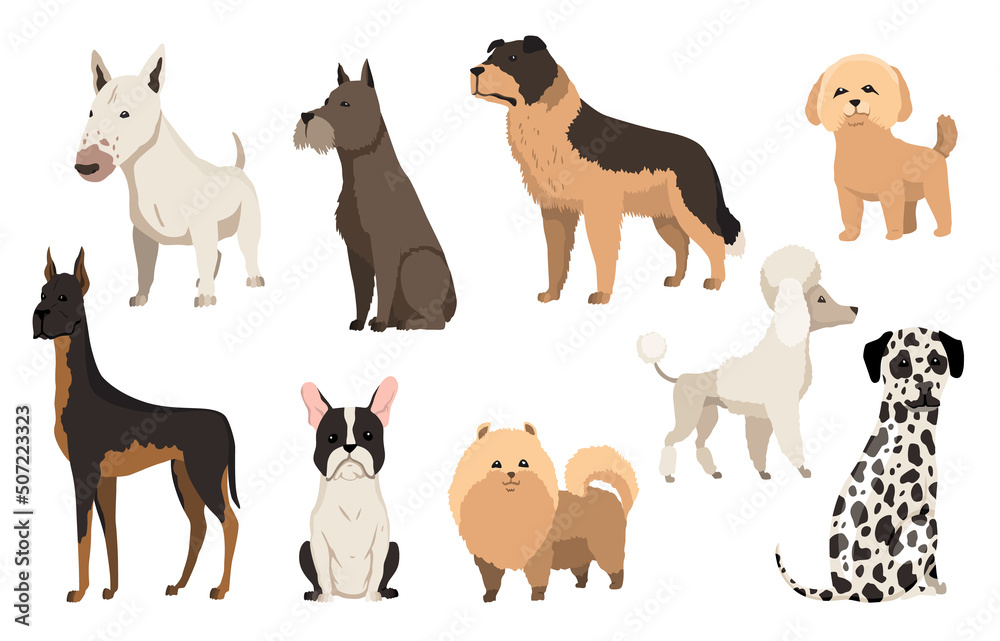 Fototapeta premium Dogs breed collection. Cute funny cartoon domestic pets characters flat illustration. Human friends home animals