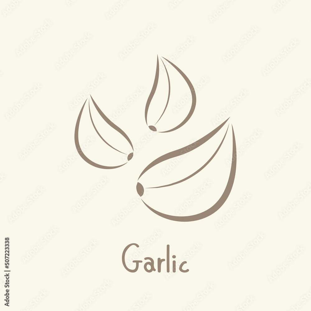 Garlic vector. Garlic logo design. Garlic symbol. wallpaper. free space for text.